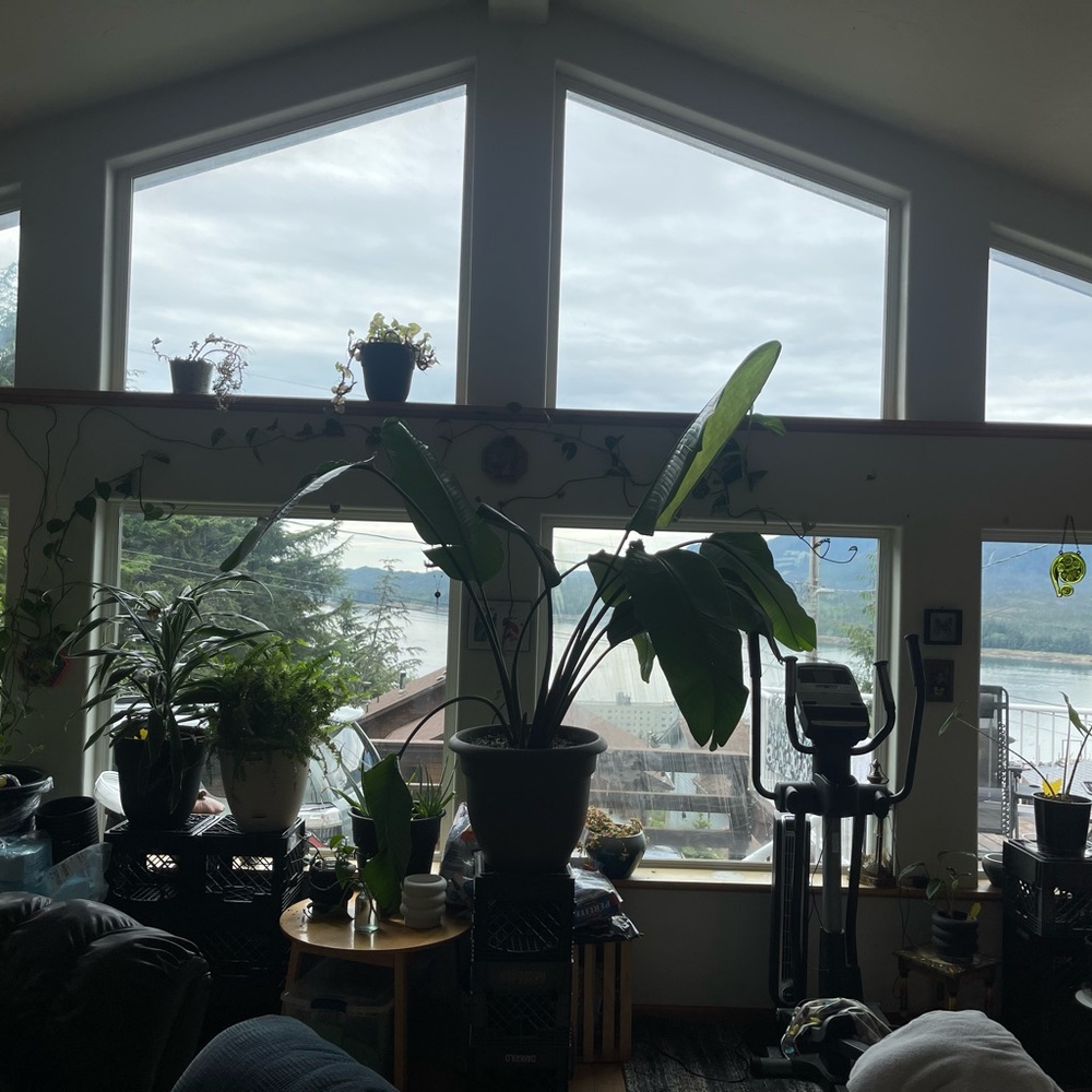 Meet your Posher, Cypress